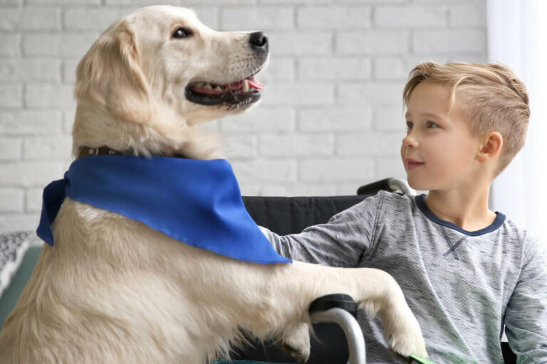 Service Dogs, Therapy Dogs, and Support Dogs: Understanding the Differences
