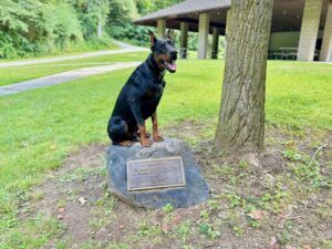 dog at the top of the stone