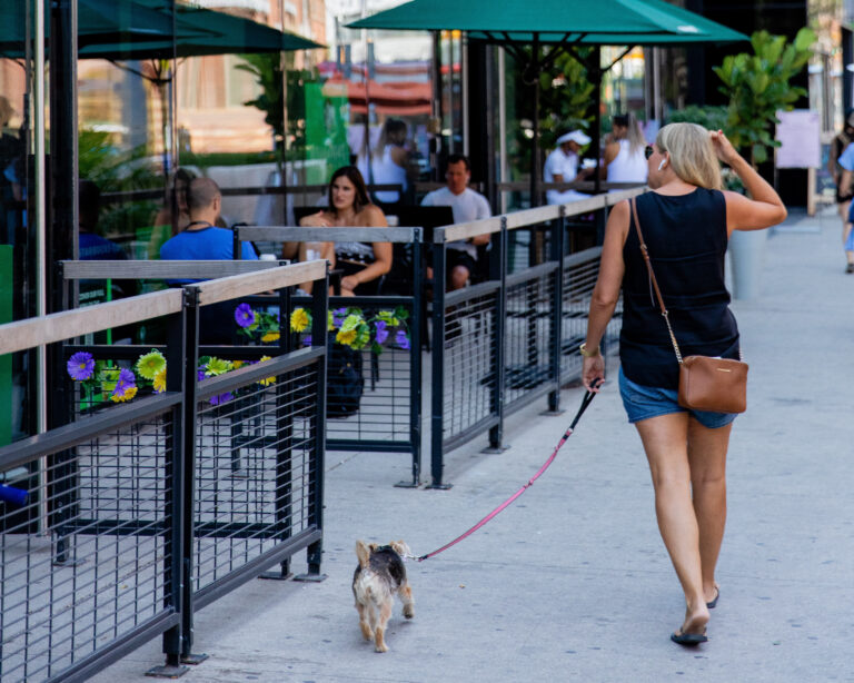 Exploring Dayton, Ohio: TOP 10 Dog-Friendly Stores and Shopping Areas