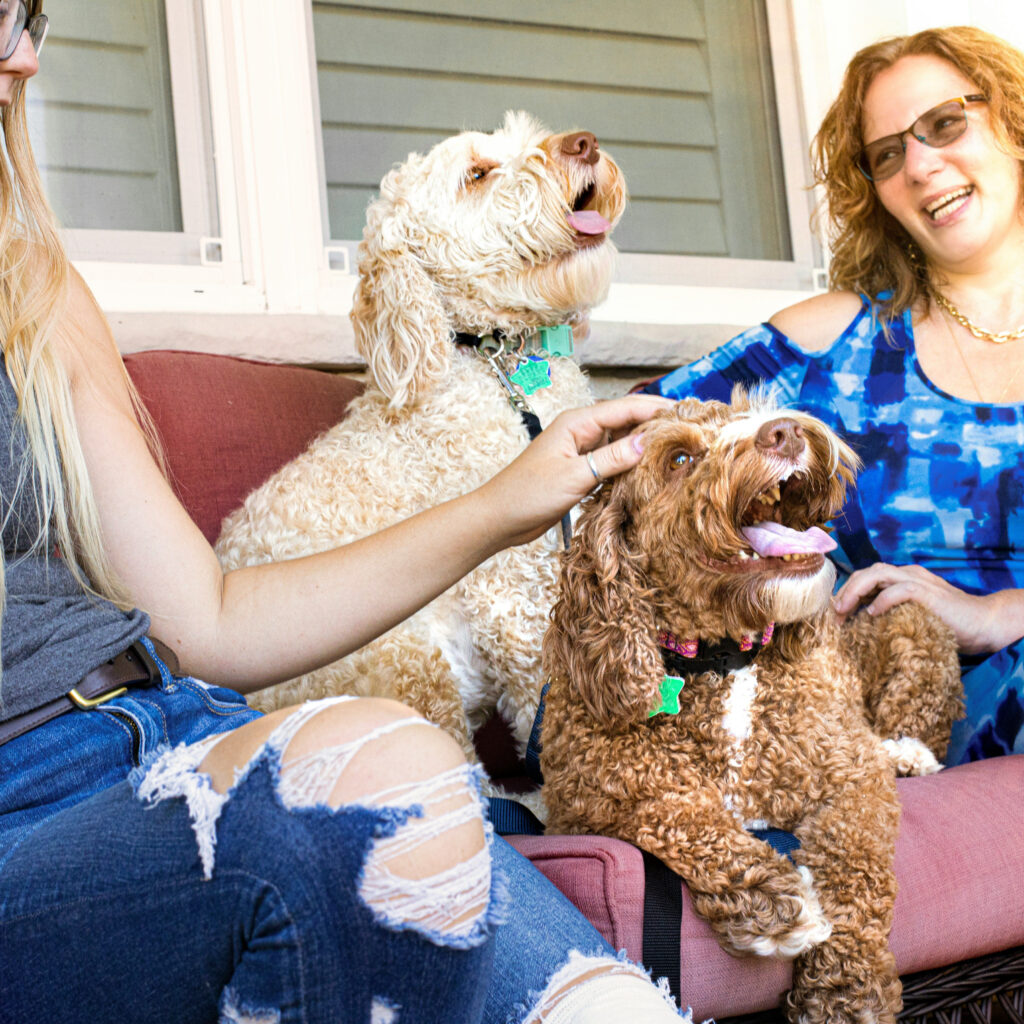 Fostering Harmony Expert Tips to Prevent Jealousy in Dogs and Deepen