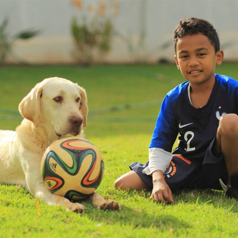 Engaging Activities for Kids to Learn Responsible Dog Ownership