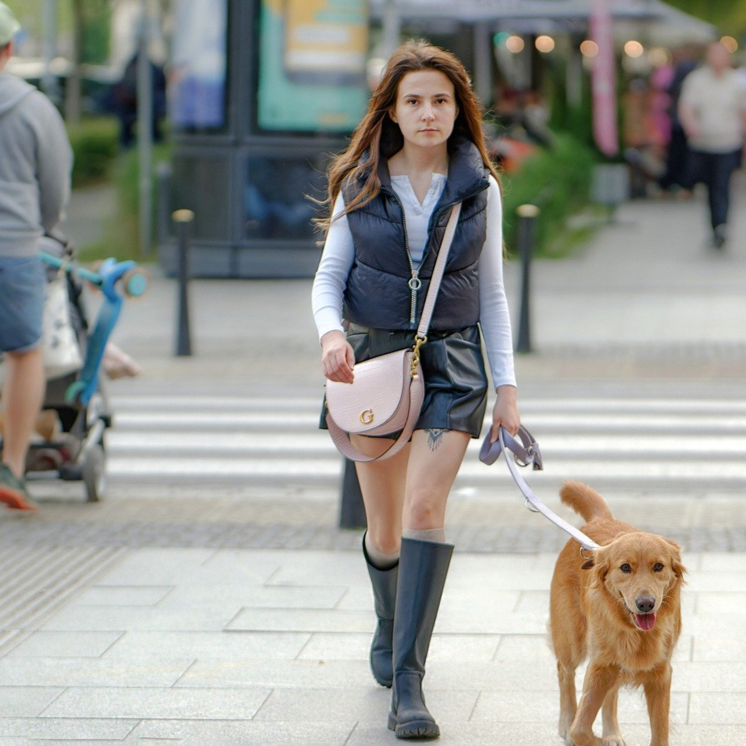 "Effortlessly Mastering Leash Training: Your Key to Joyful Walks with Your Dog"
