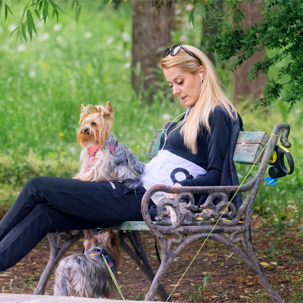 "Exploring National Parks with Your Pet The Ultimate Guide to Pet