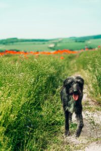 Beat the Heat: Signs of Overheating and How to Prevent It