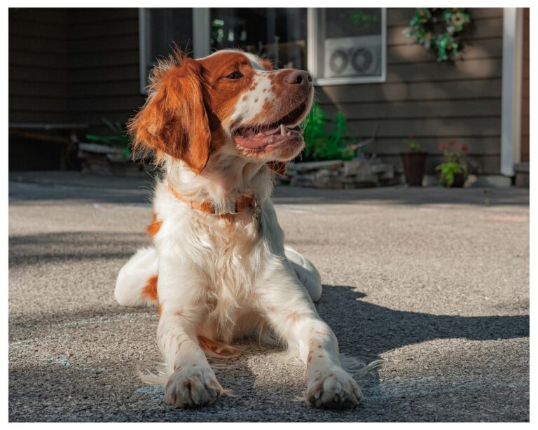 Beat the Heat: Signs of Overheating and How to Prevent It
