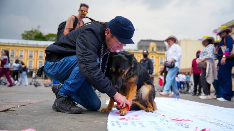 Socialization 101: Proven Confidence Boost for Dogs