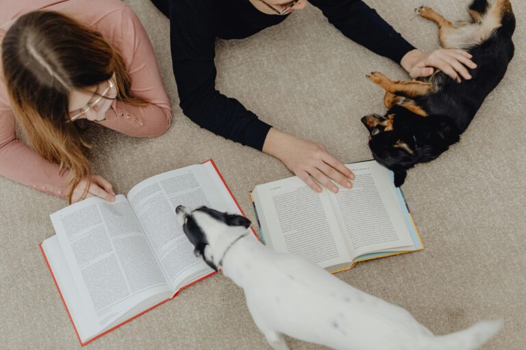 Preparing Your Dog for Back-2-School Schedule Changes
