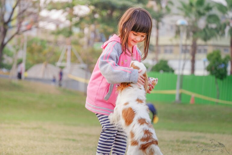 Training Tips for Families With Kids and Dogs