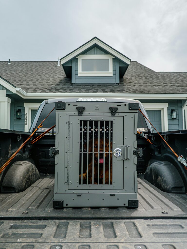 Crate Training 101: The Simple Positive Approach