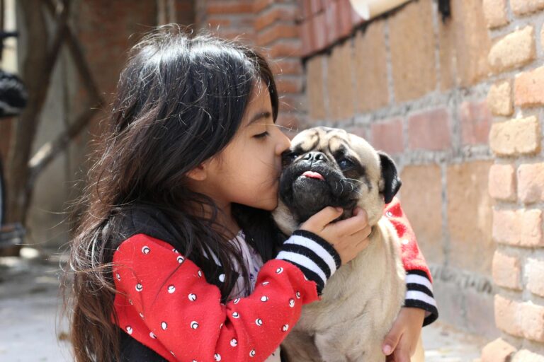 Gratitude Towards Dogs: Wonderful Lessons That Change Lives