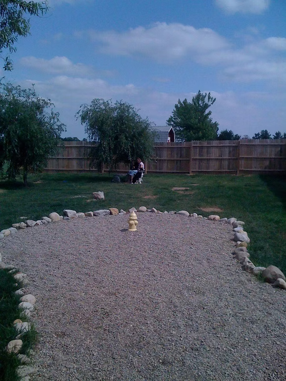 Yarwood Kennels grass play area. Dog Boarding and Daycare.