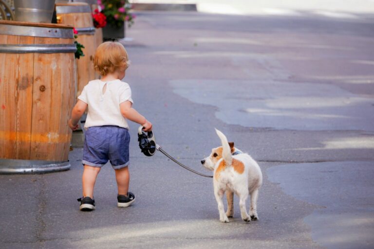 Leash It Right: Your Ultimate Guide to Choosing the Perfect Leash for Dog Adventures